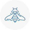 Bee Nest Removal Lincolnshire