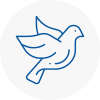 Bird Prevention Lincolnshire