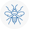 Lincolnshire Hornet Nest Removals