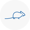 Mice Exterminators In Lincolnshire