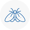Moth Control Specialists In Lincolnshire