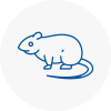 Rat Control Lincolnshire