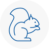 Lincolnshire Rodent Removals