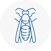 Lincolnshire Wasp Nest Removal